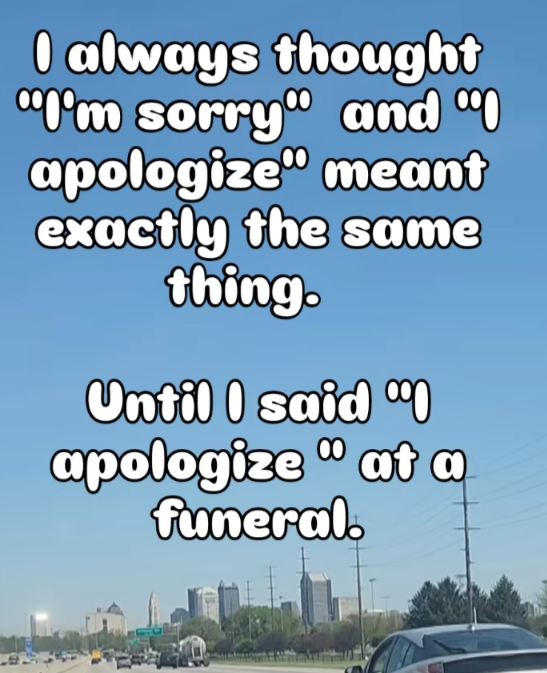 51-79481ada-5316-4ef2-add3-2b986651e09e.png