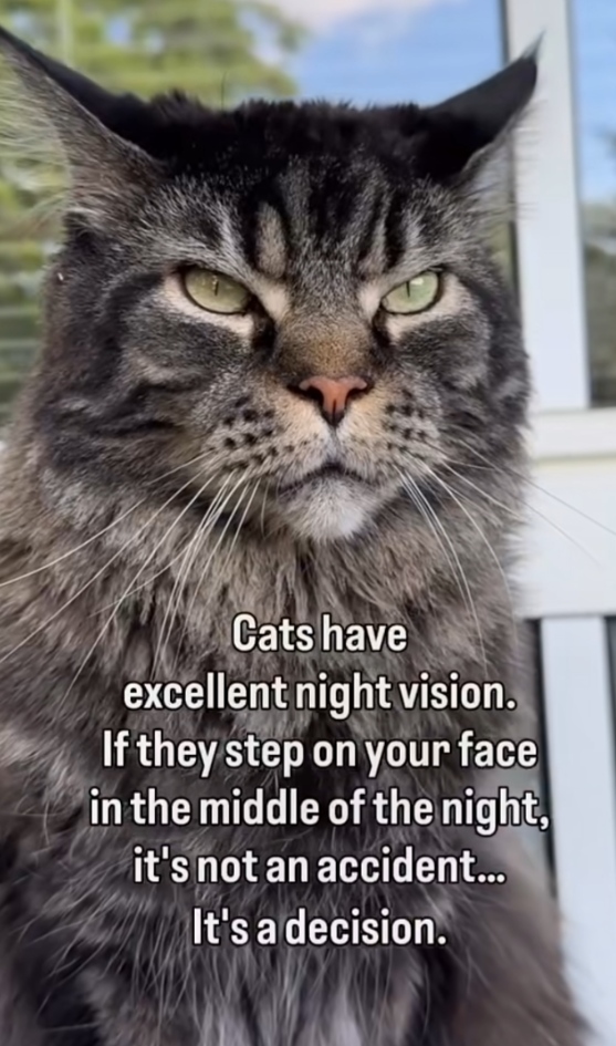26-7fb14530-0030-4142-b206-d1c97fb7b6fc.png