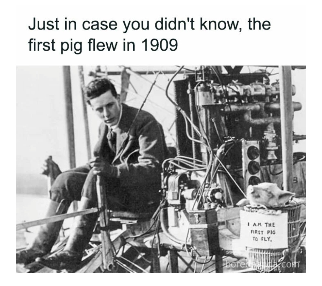 3-b6da87ab-b5e5-430c-aa0b-6639d5ec7675.jpg
