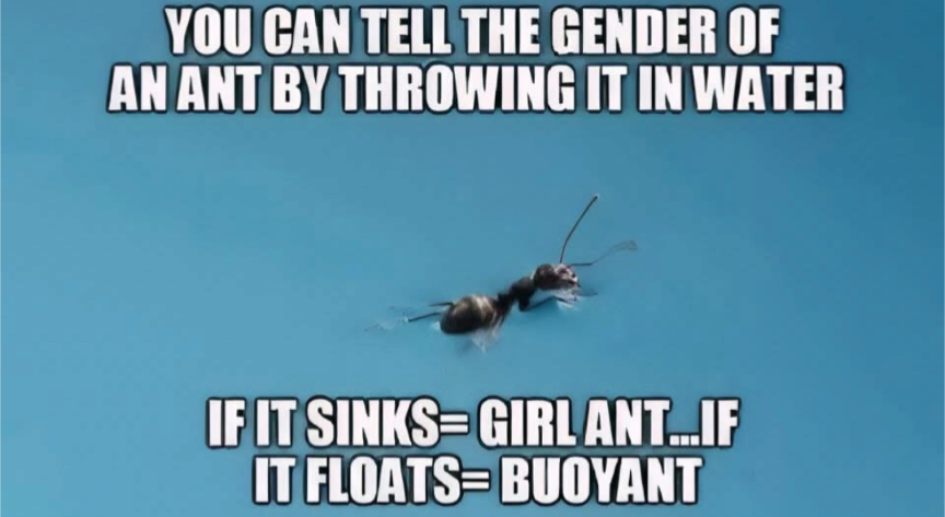 658-c92f507b-2b0f-4e02-93f3-7d24f7d3653a.png