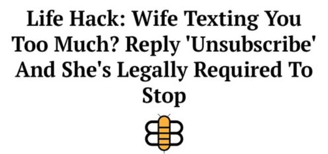 46-e6e8759d-8669-4fbd-8784-62cecebd610e.jpg